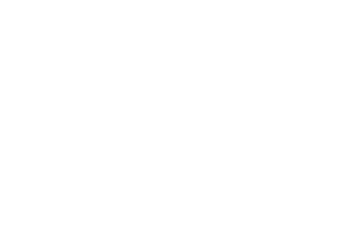 česká centra